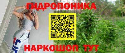 индика Кумертау