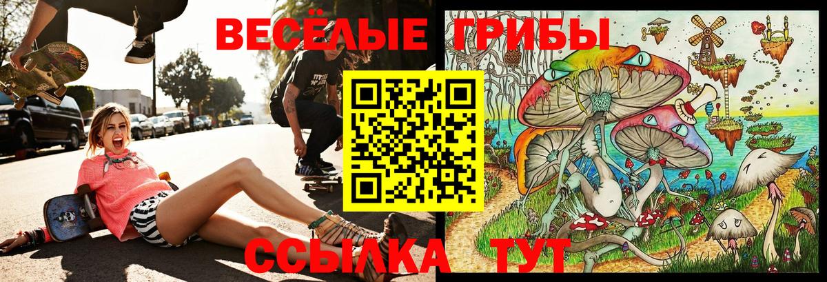 Галлюциногенные грибы мухоморы  где можно купить   Псилоцибиновые грибы Psilocybine cubensis  Кандалакша  Вход с VPN 