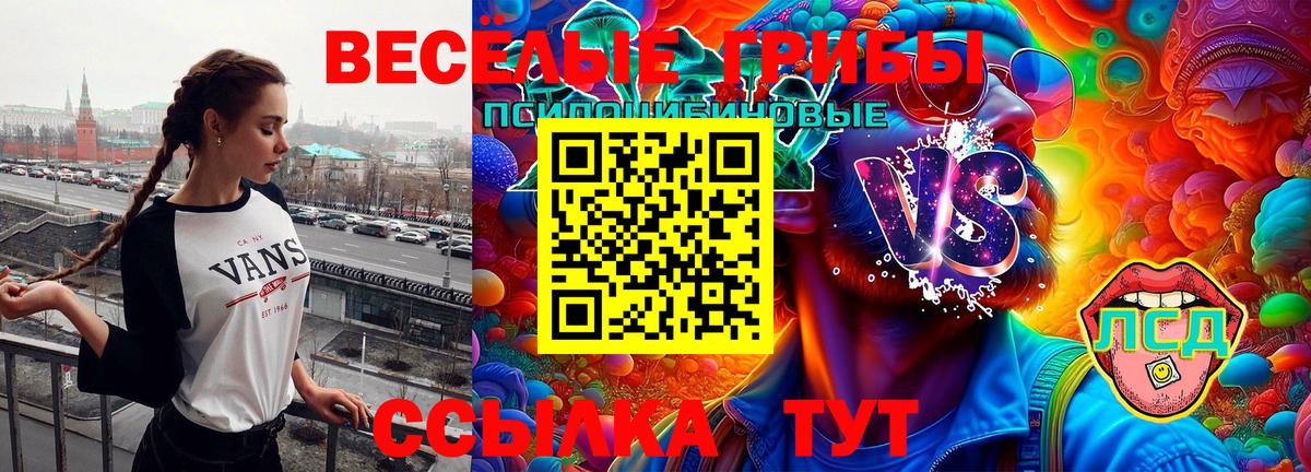 Галлюциногенные грибы MAGIC MUSHROOMS Кандалакша
